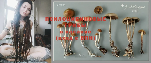 spice Пролетарск