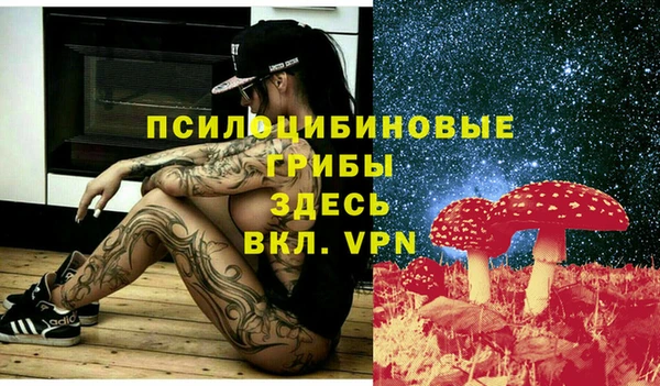 прущая мука Бородино
