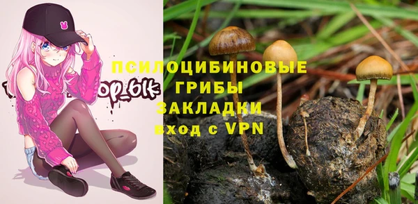герыч Бугульма