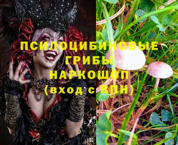 spice Пролетарск