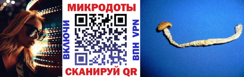 Галлюциногенные грибы Psilocybine cubensis  Бугуруслан 