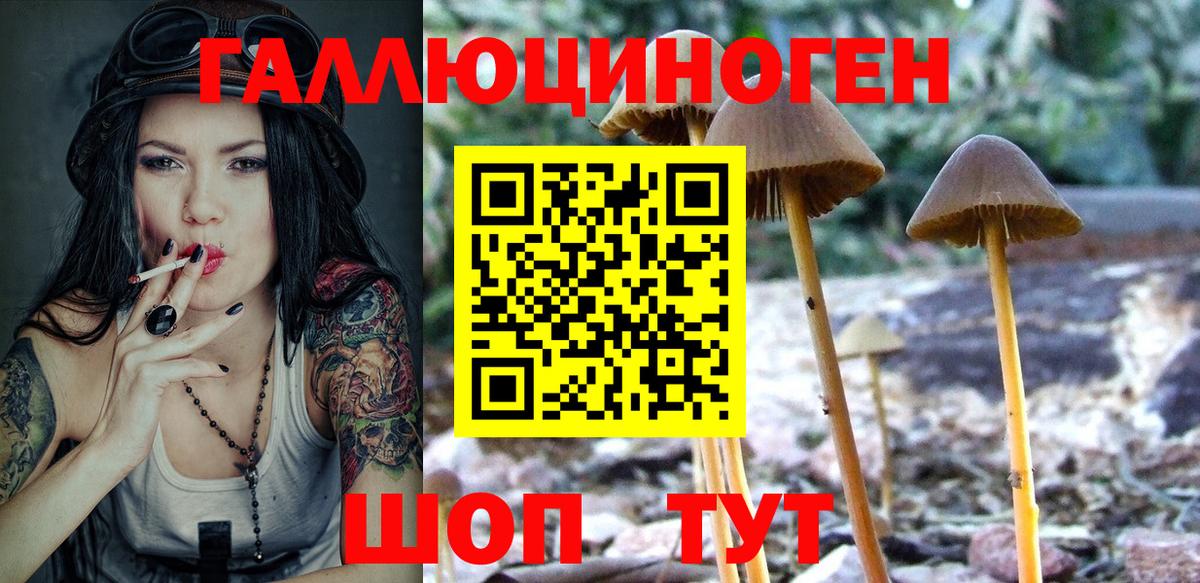 цены   Псилоцибиновые грибы Psilocybe  Галлюциногенные грибы Psilocybe  Вход с VPN  Бугуруслан 